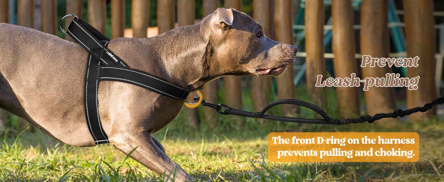dog harness