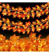 2 Pack Fall Garland with Pumpkin Lights Total 40LED 20Ft Battery Operated | Fall Decorations for ...