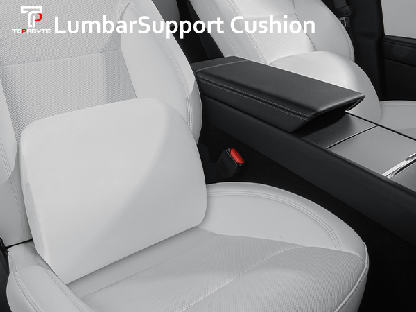 lumbar pillow for tesla highland white tesla lumbar support pillow tesla y juniper headrest lumber