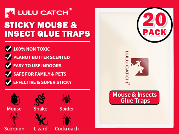 Mouse Traps Indoor for Home, Sticky Pest Control Adhesive Tray for Catching Bugs