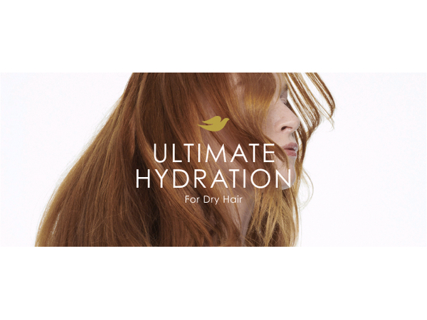 Woman with healthy-looking red hair with text in front about ultimate hydration for dry hair.