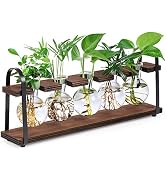 THYGIFTREE Plant Propagation Stations with Wooden Stand, Desktop Retro Plant Terrarium Bulb Vase ...