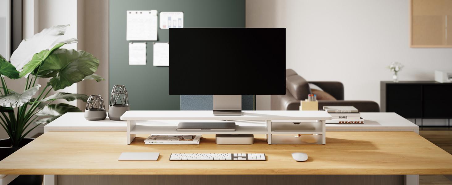 Dual Monitor Riser