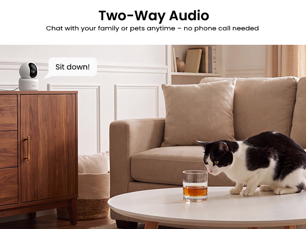 Two-Way Audio