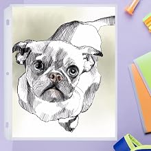 SHEET PROTECTOR FOR DRAWINGS