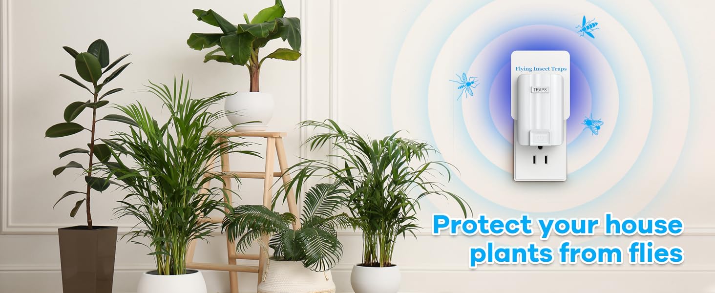 Fruit Fly Traps