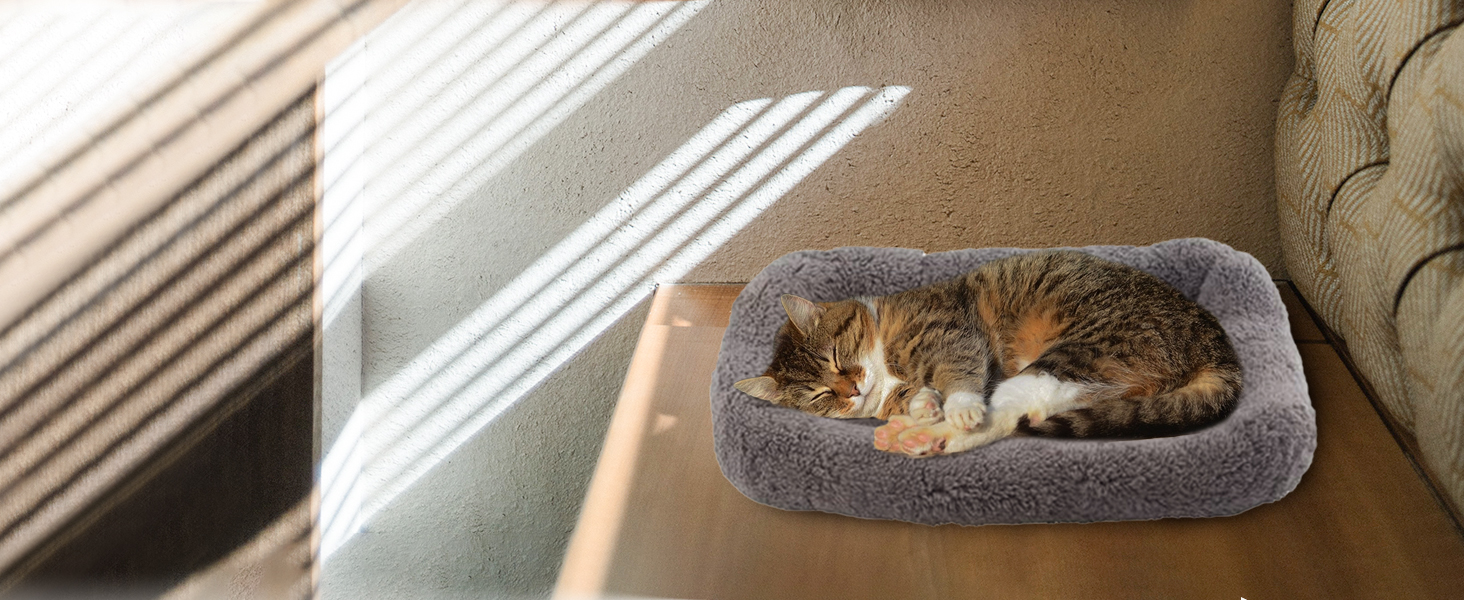 cat bed