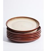 Pokini 10 Inch Dinner Plates Set of 6, Porcelain Round Dessert Plates, Serving Plates, Salad Plat...