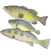 Ailejia 3 Pcs Fake Fish Large Artificial Fish Simulated Lifelike Pretend Play Animal Fake Food or...