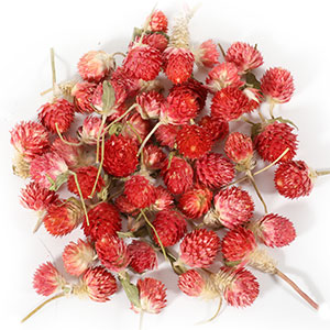 Red plum