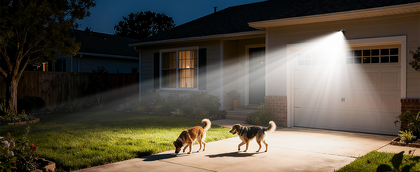 battery motion sensor light outdoor