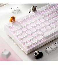 https://m.media-amazon.com/images/I/41468906ocL.__AC_SR200,225___.jpg