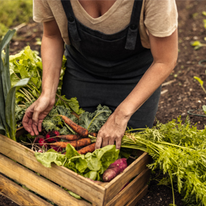 Garden Hand Shovels The best gift for garden lovers