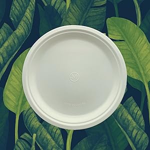 paper plates 9 10 disposable plastic chinet stackman dixie bamboo heavy duty eco bamboo friendly