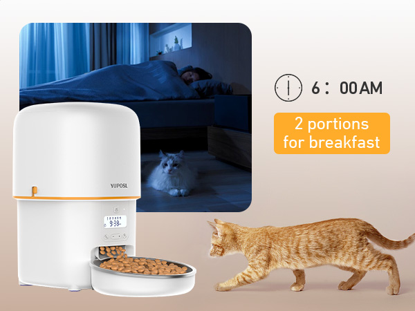 automatic cat feeder cat food dispenser pet feeder