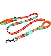 Double Handle 6 Foot Reflective Leash with Padded Handle - Pattern Collection