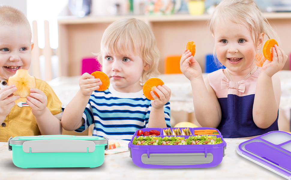 lunch box containers