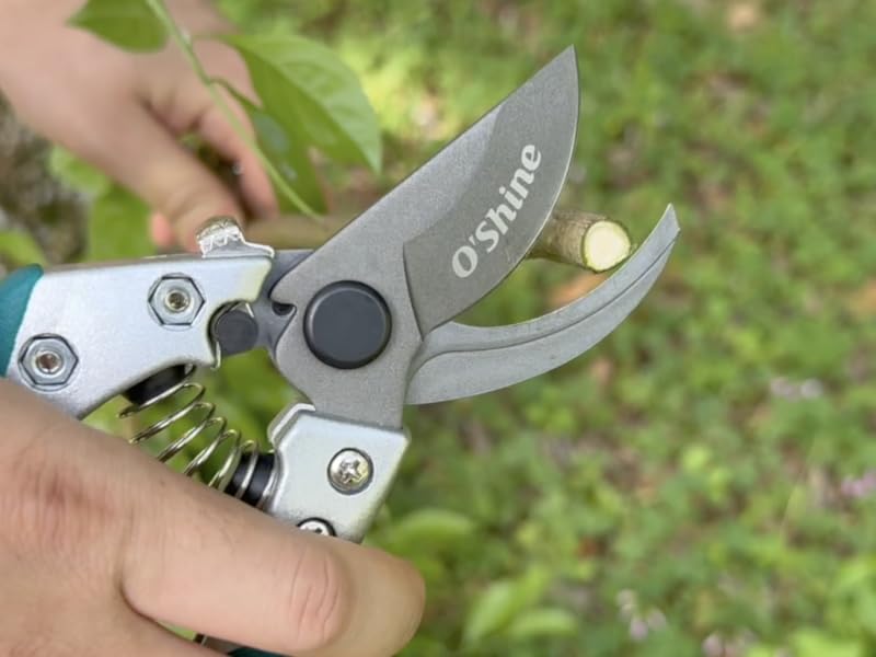 bypass pruners 1 inch cut capacity clean cuts plant health garden clippers trimmer