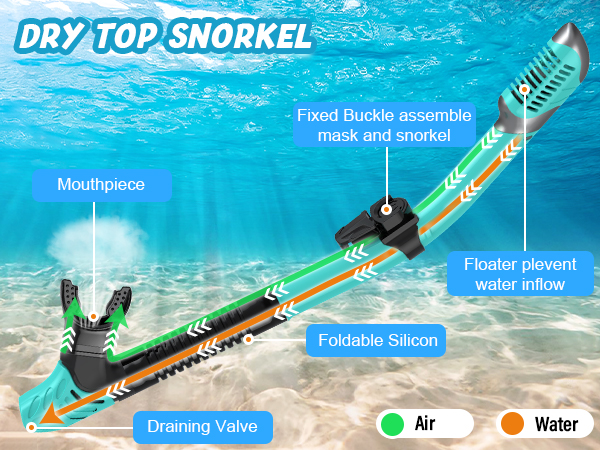 snorkeling gear for adults