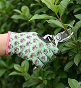Woman Gloves