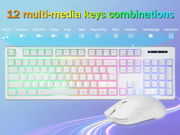 12 multi media keys