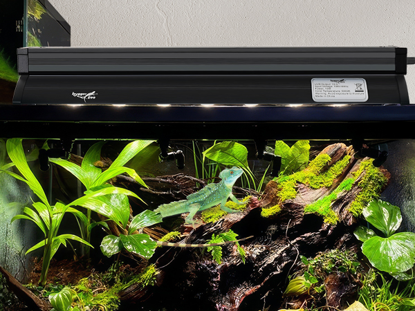 uvb light for reptiles