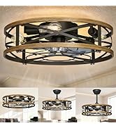 Caged Ceiling Fan With Lights Flush Mount,20in Low Profile Ceiling Fan,Small Farmhouse Rustic Fan...