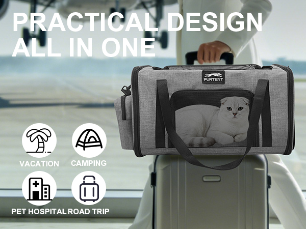 cat carrier grey