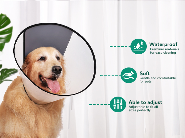aplus content image