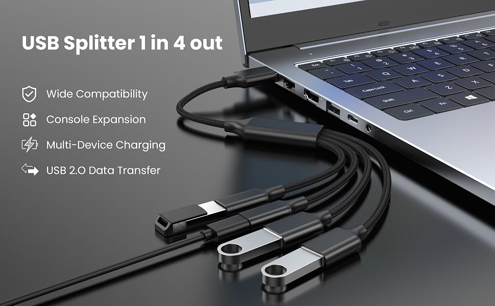 USB Splitter 1 In 4 Out
