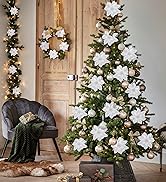 White poinsettia