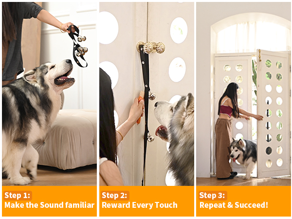 the way and steps to teach dog to use the dog door bell