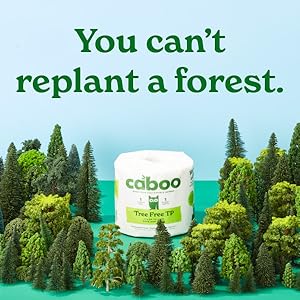 Trees cleared