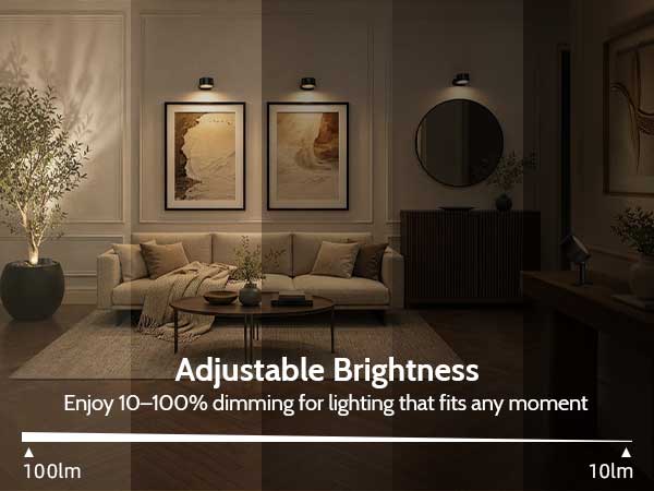 lights for pictures on wall