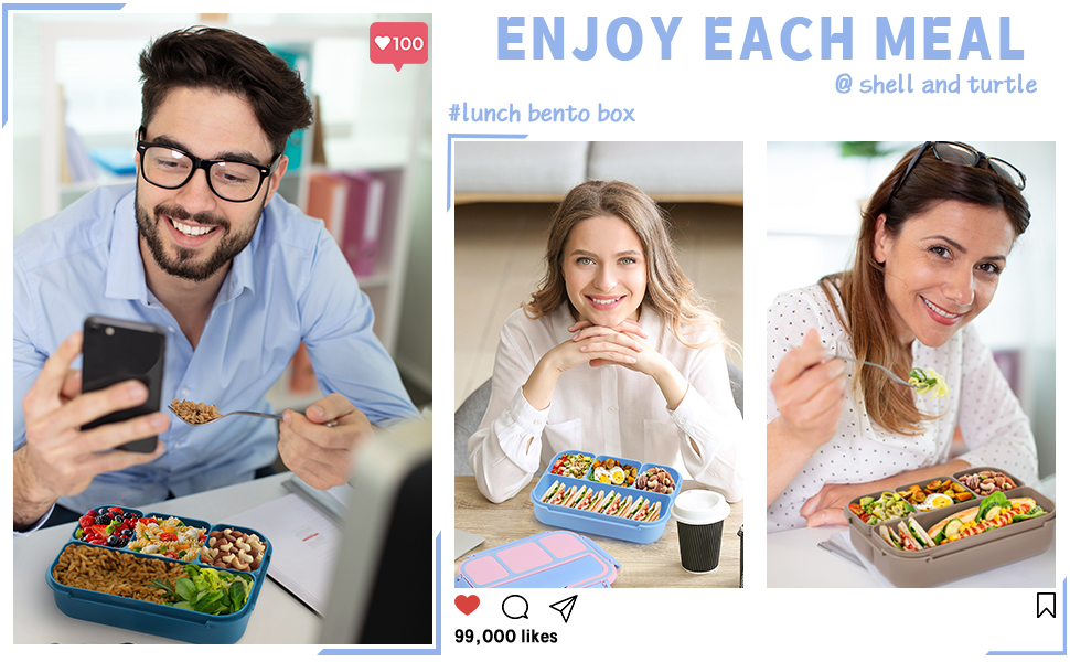 blue pink bento box 6
