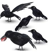 DR.DUDU 5 Pack Halloween Crows Decor, Realistic Black Feather Ravens with Eyeball & Flying Pose, ...