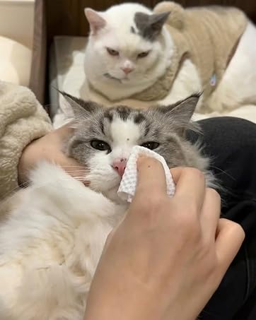 single use face towel