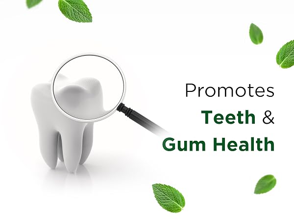 Promotes Teeth & Gum Health