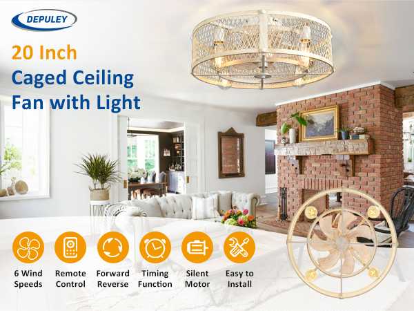 Caged ceiling fan with light