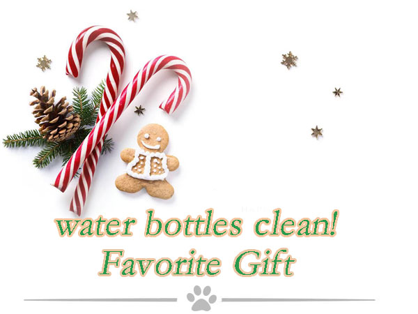 water bottle brushes for cleaning