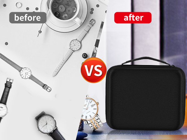 travel watch storage