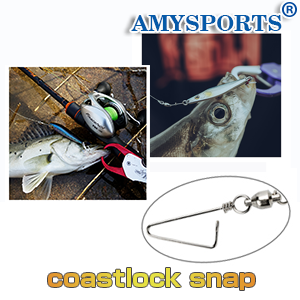 coastlock swivel snap