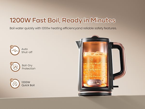 OLEGA Electric Kettle