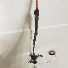 Sink Snake Cleaner
