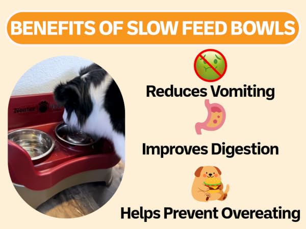Benefits of using a slow feed bowl