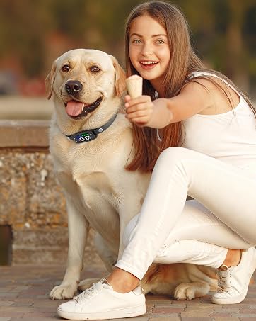 Veconix dog collar
