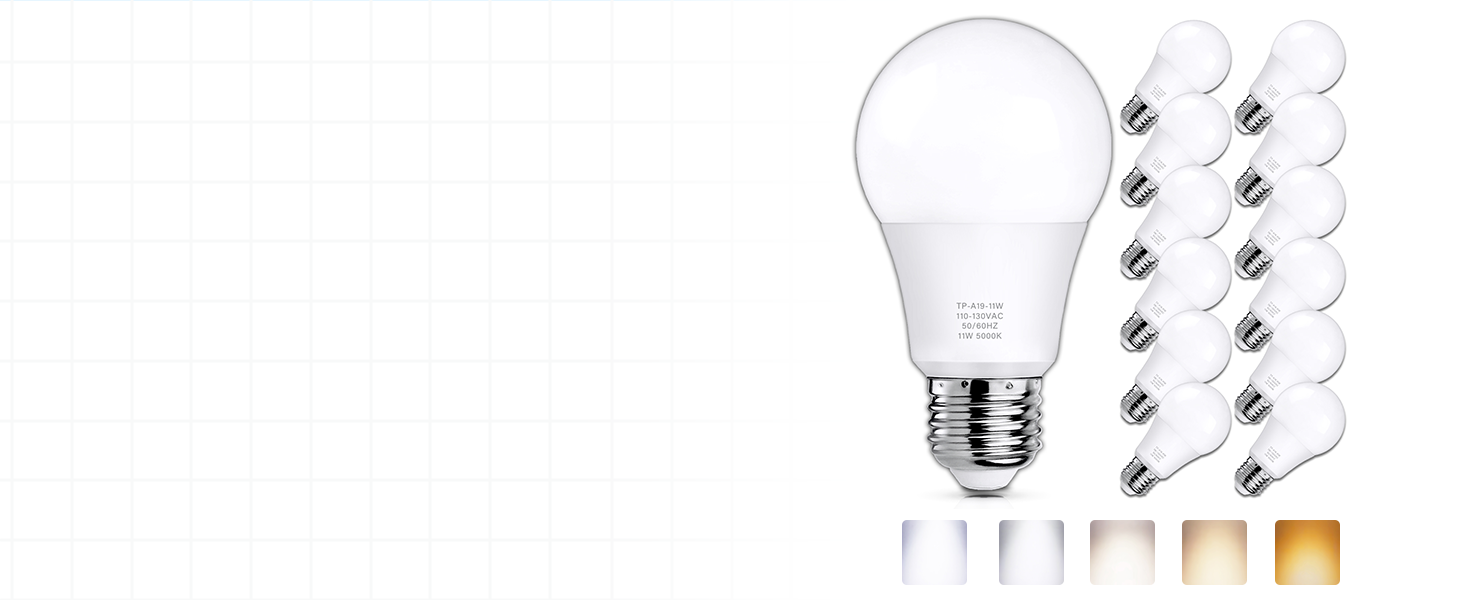 A19 LED light bulbs