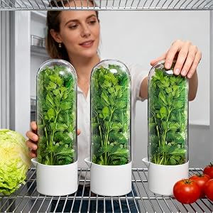 fresh herb keeper