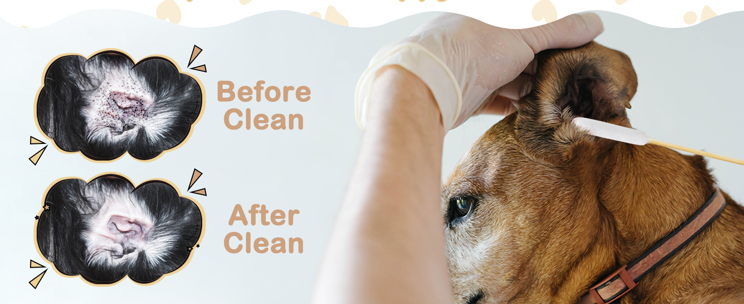 Pet grooming essentials for maintaining clean ears and happy dogs at home