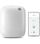 Airversa Waterless Essential Oil Diffuser for Home Large Room and Commercial Use, Up to 2000 sq f...